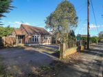 Thumbnail for sale in Doddinghurst Road, Doddinghurst, Brentwood