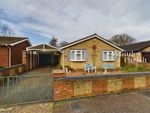 Thumbnail for sale in Heywood Avenue, Diss