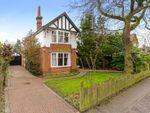 Thumbnail to rent in Branksome Road, Off Newmarket Road, Norwich