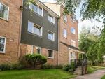 Thumbnail to rent in Beauchamp Place, East Oxford