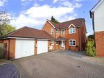 Thumbnail for sale in The Pastures, Anstey, Leicester, Leicestershire