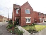 Thumbnail to rent in Rowntree Avenue, Pocklington, York