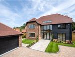 Thumbnail for sale in Cufaude Lane, Bramley, Tadley