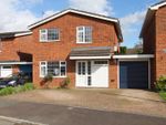 Thumbnail for sale in Brooklands Road, Riseley, Bedford