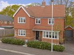 Thumbnail for sale in Water Lily Way, Worthing