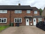 Thumbnail to rent in Fir Tree Road, Guildford, Surrey