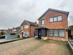 Thumbnail to rent in Sunningdale Drive, Daventry, Northamptonshire