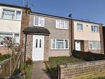 Thumbnail to rent in Primrose Walk, Colchester
