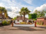 Thumbnail for sale in Cedar Road, Watford, Hertfordshire