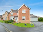 Thumbnail for sale in Celandine Way, Stockton-On-Tees