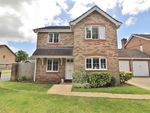 Thumbnail to rent in Warbler Close, Waterlooville