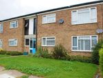 Thumbnail to rent in Buckingham Drive, Colchester