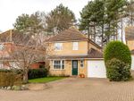 Thumbnail for sale in Dunton Grove, Hadleigh, Ipswich