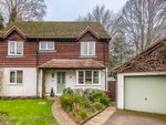 Thumbnail for sale in Castle Rise, Ridgewood, Uckfield