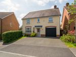 Thumbnail to rent in Leachman Way, Petersfield, Hampshire