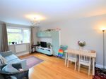 Thumbnail to rent in Anerley Park, London