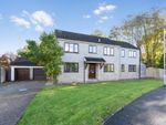 Thumbnail to rent in Dairs Orchard, Tatworth