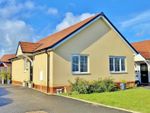 Thumbnail for sale in Cattermole Way, Thorpe-Le-Soken, Clacton-On-Sea