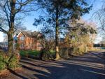 Thumbnail to rent in Allostock, Knutsford, Cheshire