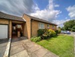 Thumbnail for sale in Whitmead Close, South Croydon