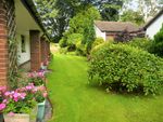 Thumbnail for sale in Chestnut Court, Leyland