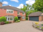 Thumbnail for sale in Lane End, Dormansland, Lingfield