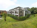 Thumbnail to rent in Wispers Lane, Haslemere, Surrey