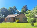 Thumbnail for sale in St. Columba Road, Newtonmore
