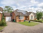 Thumbnail for sale in Dibble Drive, North Baddesley, Southampton, Hampshire