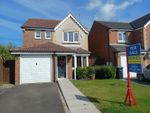 Thumbnail to rent in Chestnut Way, Seaham, County Durham