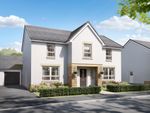 Thumbnail to rent in "Glenbervie" at 1 Sequoia Grove, Cambusbarron, Stirling