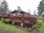 Thumbnail for sale in Lowther Holiday Park, Eamont Bridge, Penrith
