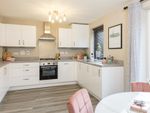 Thumbnail to rent in "Archford" at Anise Avenue, Melksham