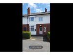 Thumbnail to rent in St. Gregory Road, Preston