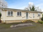 Thumbnail for sale in New Orchard Park, Littleport, Ely