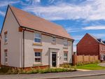 Thumbnail for sale in "Hadley" at Meadowsweet Avenue, Beaconside, Stafford