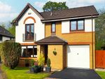 Thumbnail for sale in Doonfoot Court, Kittochfield East Kilbride