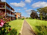 Thumbnail to rent in Roswell Court, Douglas Avenue, Exmouth