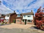 Thumbnail for sale in Tabors Avenue, Great Baddow, Chelmsford