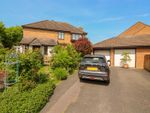 Thumbnail for sale in Dove Close, Thorley, Bishop's Stortford