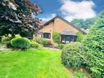 Thumbnail for sale in Thornleigh, Dudley