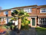 Thumbnail to rent in Chestnut Walk, Pulborough