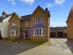 Thumbnail to rent in Newcombe Crescent, Buckingham