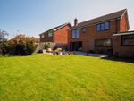 Thumbnail to rent in Chestnut Close, Salisbury