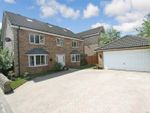 Thumbnail for sale in Beaufort Mews, Ackworth, Pontefract