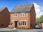 Thumbnail to rent in "The Rothway" at Long Lands Lane, Brodsworth, Doncaster
