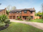 Thumbnail for sale in Holmes Close, Ascot