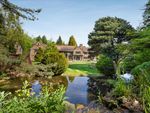 Thumbnail for sale in Westwood Road, Windlesham, Surrey