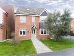 Thumbnail for sale in Snowdrop Road, Hartlepool