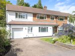 Thumbnail for sale in Tootswood Road, Bromley